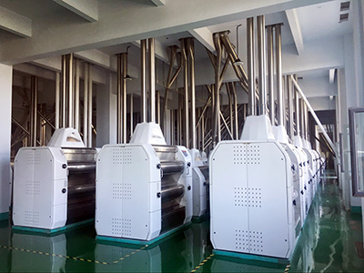 5000t/d wehat flour mill